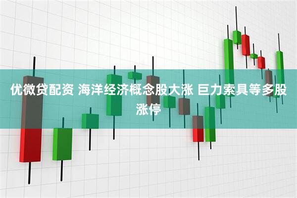 优微贷配资 海洋经济概念股大涨 巨力索具等多股涨停