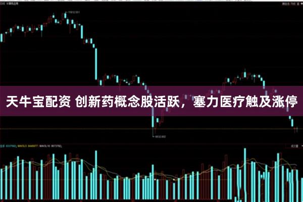 天牛宝配资 创新药概念股活跃，塞力医疗触及涨停