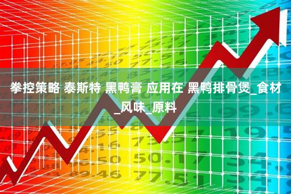 拳控策略 泰斯特 黑鸭膏 应用在 黑鸭排骨煲_食材_风味_原料