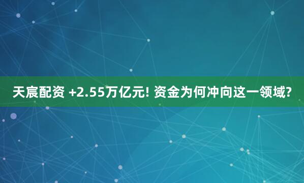 天宸配资 +2.55万亿元! 资金为何冲向这一领域?