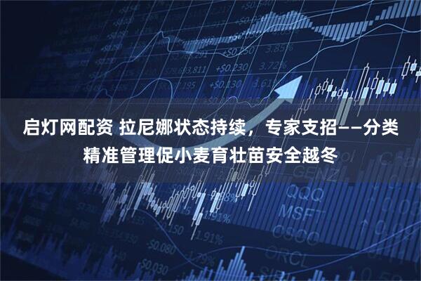 启灯网配资 拉尼娜状态持续，专家支招——分类精准管理促小麦育壮苗安全越冬